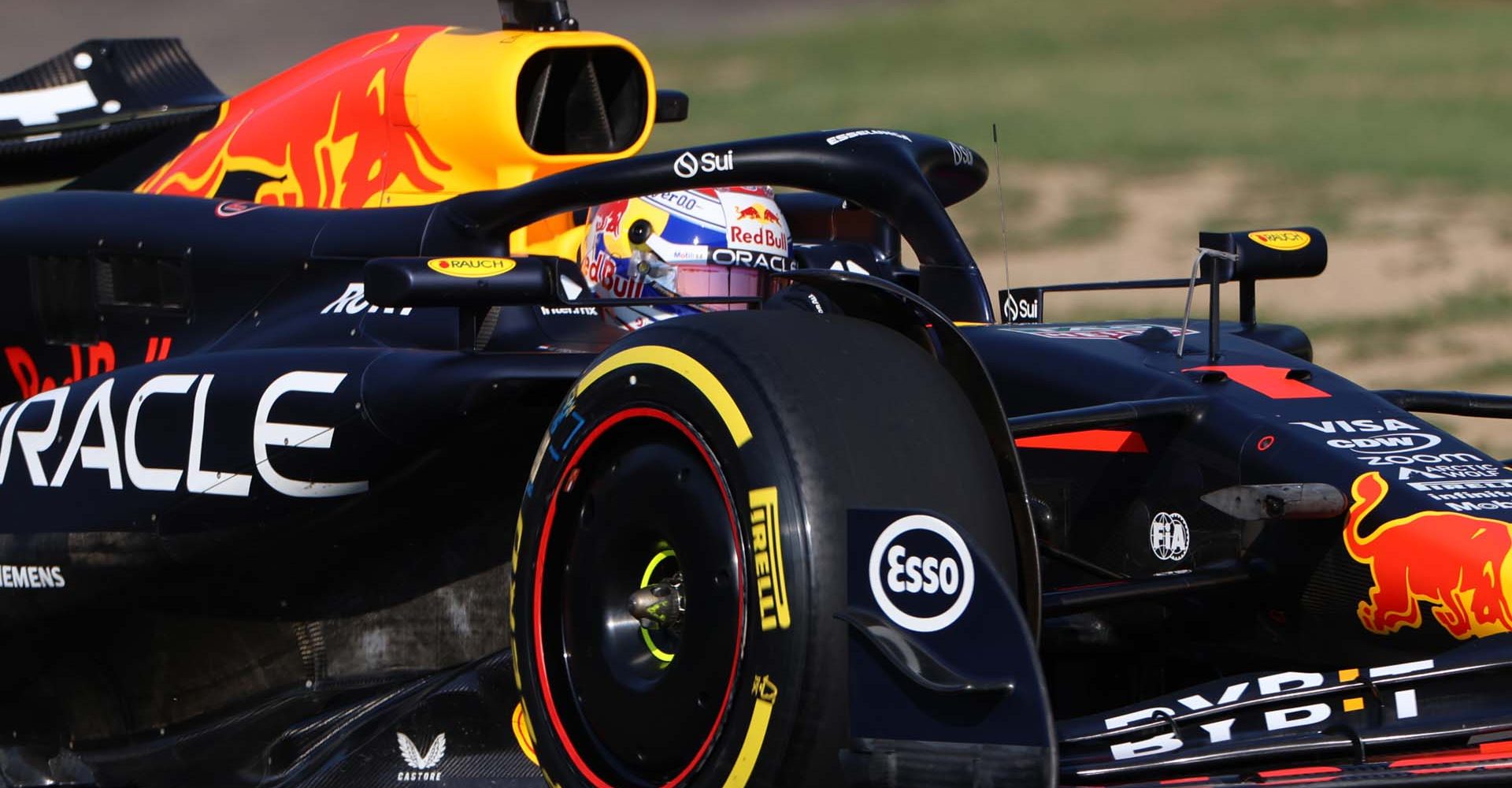 Max Verstappen (Red Bull)